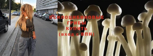mix Богородицк