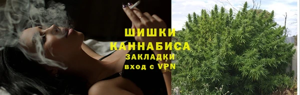 mix Богородицк