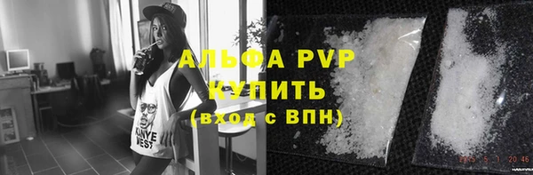 прущие грибы Белокуриха