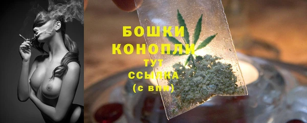 mix Богородицк