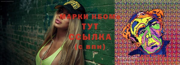 прущие грибы Белокуриха
