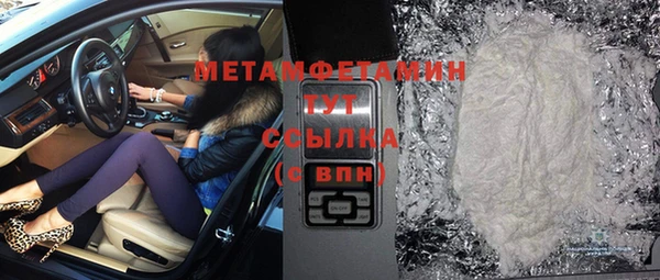 прущие грибы Белокуриха