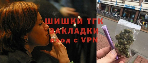mix Богородицк