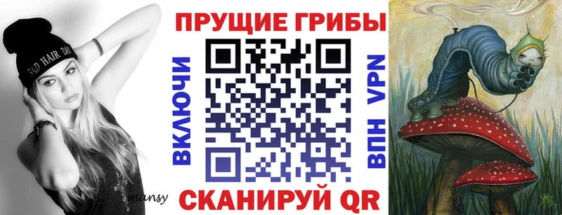 Псилоцибиновые грибы Psilocybine cubensis  блэк спрут ССЫЛКА  Пионерский 