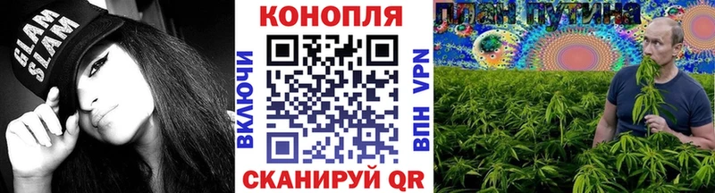 мега как зайти  где продают   Пионерский  Бошки Шишки ГИДРОПОН 